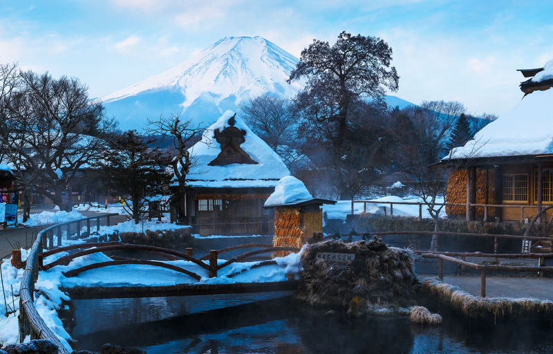 Mount Fuji Classic Day Tour: Arakurayama Sengen Park/5th Station & Lake Kawaguchiko for Cherry Blossoms in Spring and Autumn Leaves in Autumn. Round trip from Tokyo. Hotel pickup and drop-off can be added. (Chinese service) - The ride, timing and group choices