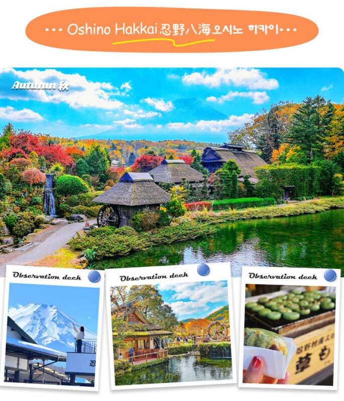 Mount Fuji Classic Tour | Arakurayama Sengen Park/Mount Fuji 5th Station, Oshino Hakkai & Gotemba Premium Outlets/Hot Spring Day Trip | Depart from Tokyo/Shinjuku - Who will get the best value from this tour