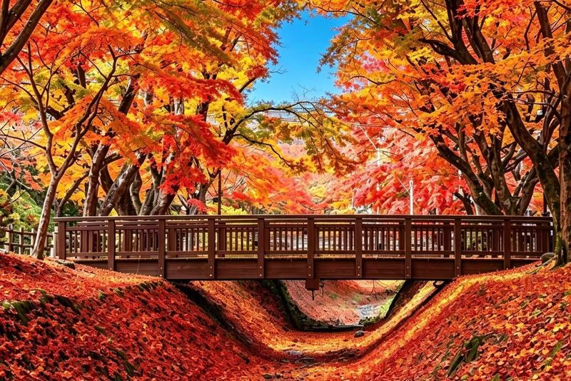 Mount Fuji Classic Twin Lakes Autumn Leaves Day Tour | Kawaguchiko Autumn Leaves Corridor & Lake Yamanaka Swan Boat Experience (Includes Swan Boat Ticket) | Departing from Tokyo - Weather, foliage, and booking details to weigh