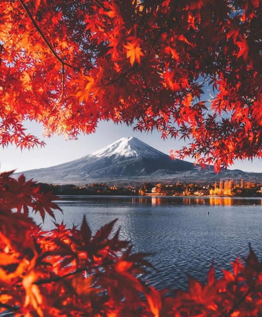 Mount Fuji Customizable Day Tour With English Guide - Good To Know