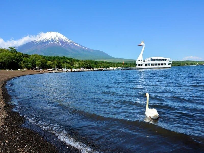 Mount Fuji Customizable One-Day Private Tour - What to know before you book
