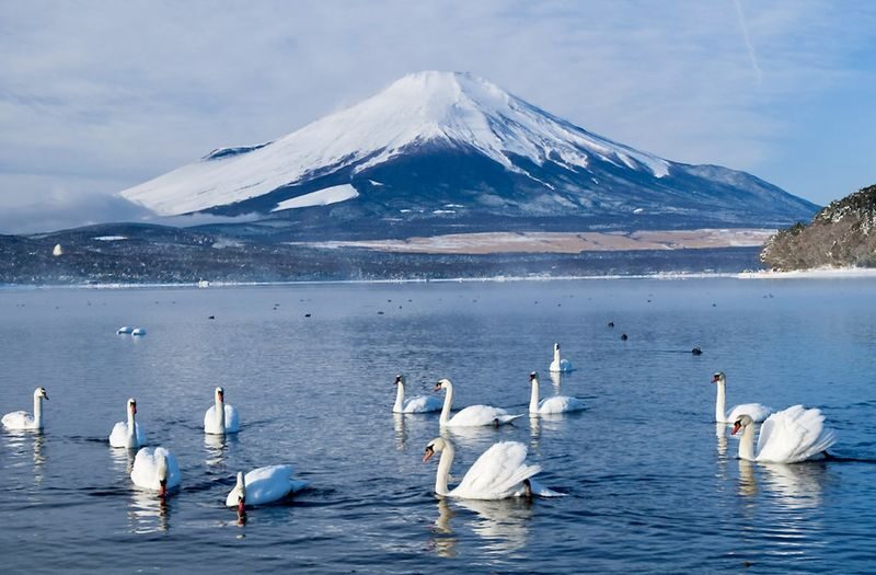 Mount Fuji Customizable One-Day Private Tour - A private way to see Mount Fuji