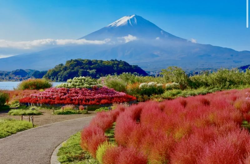 Mount Fuji Customizable One-Day Private Tour - Lake Yamanakako and the named side trips