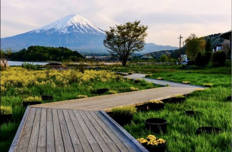 Mount Fuji Customizable One-Day Private Tour - Timing can make the view