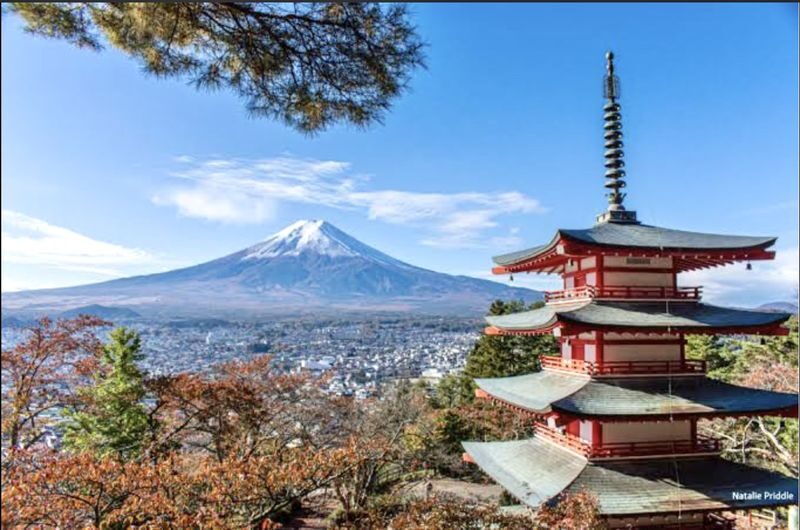 Mount Fuji Customizable One-Day Private Tour - Is the starting price good value?