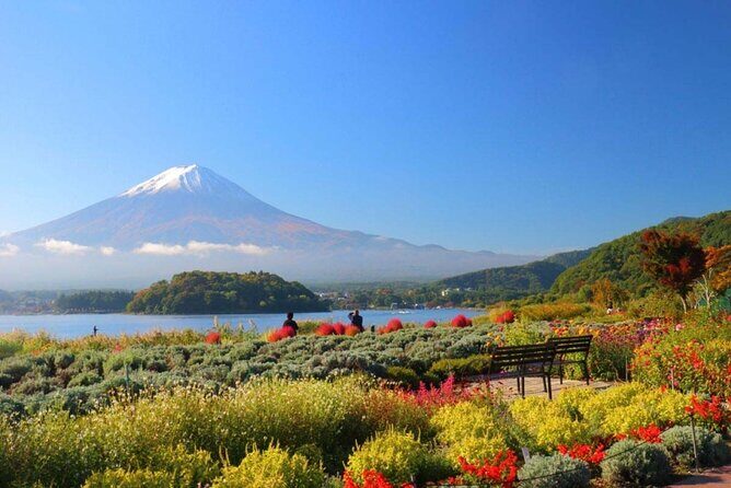 Mount Fuji Customize Private Day Trip with Driver From Tokyo. - What We Think About the Price