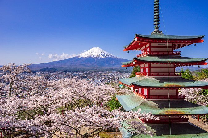 Mount Fuji Customize Private Day Trip with Driver From Tokyo. - FAQ