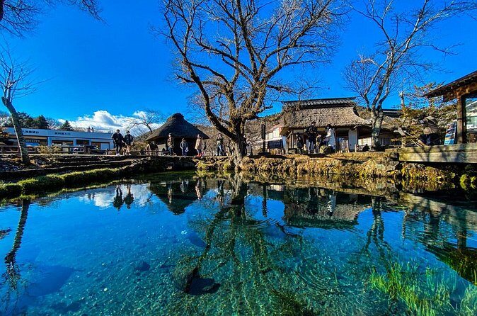 Mount Fuji Customize Private Day Trip with Driver From Tokyo. - Price and Value Analysis