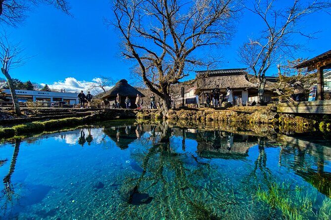 Mount Fuji Customize Private Day Trip with Driver From Tokyo. - Who Will Love This Tour?