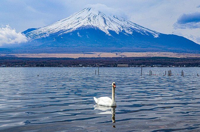 Mount Fuji Customize Private Day Trip with Driver From Tokyo. - The Sum Up