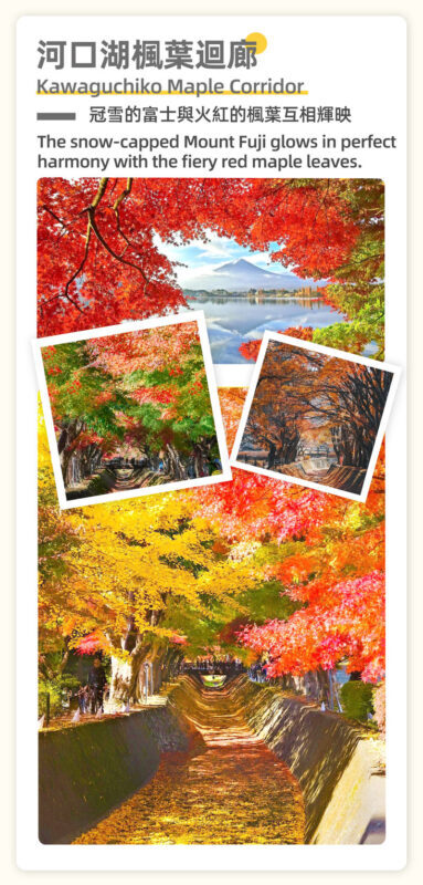 Mount Fuji Cycling Matcha Experience Hot Spring Two-Day Deep Dive Tour: Kawaguchiko & Matcha Experience & Ropeway & Hot Spring & Yamanakako Cycling & Oshino Hakkai & Arakurayama Sengen Park Two-Day Deep Dive Tour - Guides, timing and what to pack