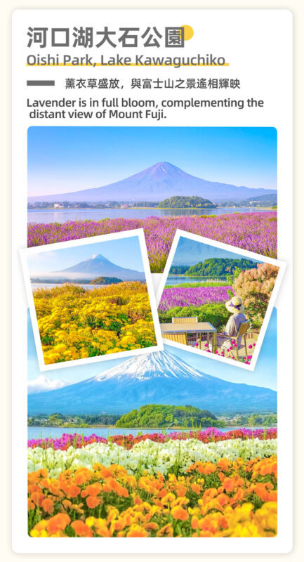 Mount Fuji Cycling Matcha Experience Hot Spring Two-Day Deep Dive Tour: Kawaguchiko & Matcha Experience & Ropeway & Hot Spring & Yamanakako Cycling & Oshino Hakkai & Arakurayama Sengen Park Two-Day Deep Dive Tour - Is this two-day Fuji tour a good fit?