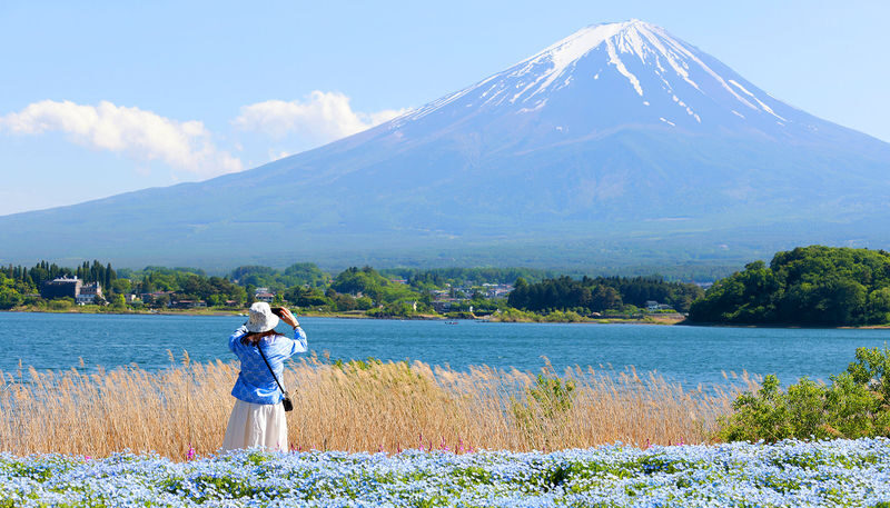Mount Fuji Day Tour: Arakurayama Sengen Park, Mount Fuji 5th Station, Lake Motosu Shiba Sakura, Oishi Park, Lake Yamanaka Cruise or Optional Hot Spring Experience | Departing from Tokyo - At a glance