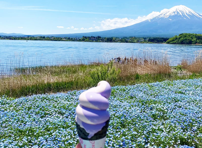 Mount Fuji Day Tour: Arakurayama Sengen Park, Mount Fuji 5th Station, Lake Motosu Shiba Sakura, Oishi Park, Lake Yamanaka Cruise or Optional Hot Spring Experience | Departing from Tokyo - Lake Yamanaka: boat ride or hot spring