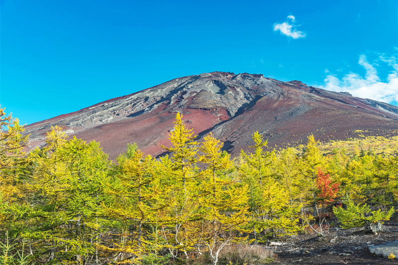 Mount Fuji Day Tour: Arakurayama Sengen Park, Mount Fuji 5th Station, Lake Motosu Shiba Sakura, Oishi Park, Lake Yamanaka Cruise or Optional Hot Spring Experience | Departing from Tokyo - What the long day feels like in practice