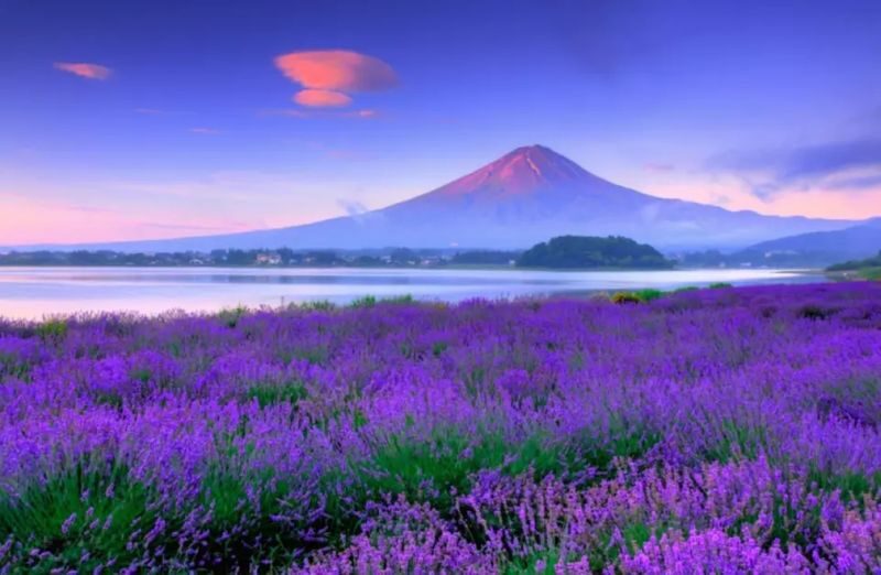 Mount Fuji Day Tour from Tokyo Ginza | Mount Fuji, Lake Kawaguchi, Gotemba Outlet, Konohana no Yu Onsen - A Fuji day built around variety