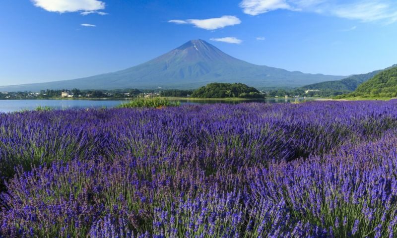 Mount Fuji Day Tour from Tokyo Ginza | Mount Fuji, Lake Kawaguchi, Gotemba Outlet, Konohana no Yu Onsen - Starting at Ginza Novo