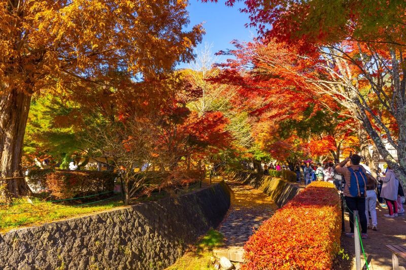 Mount Fuji Day Tour from Tokyo Ginza | Mount Fuji, Lake Kawaguchi, Gotemba Outlet, Konohana no Yu Onsen - Oshino Hakkai’s spring-fed ponds