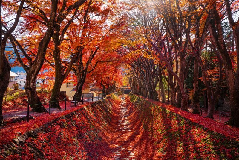 Mount Fuji Day Tour from Tokyo Ginza | Mount Fuji, Lake Kawaguchi, Gotemba Outlet, Konohana no Yu Onsen - Oishi Park and Lake Kawaguchi