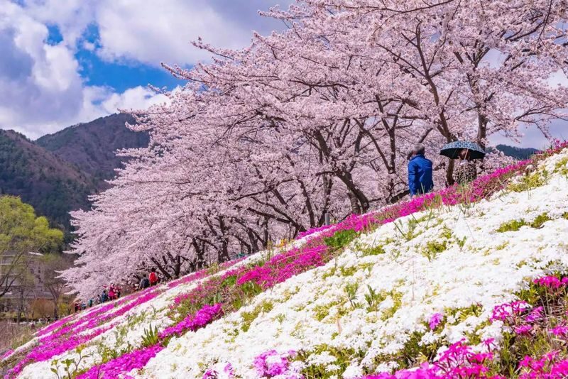 Mount Fuji Day Tour from Tokyo Ginza | Mount Fuji, Lake Kawaguchi, Gotemba Outlet, Konohana no Yu Onsen - Should you book this Mount Fuji day trip?