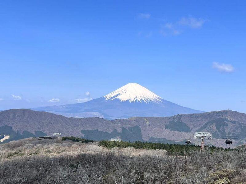 Mount Fuji Day Tour with English Speaking Driver - A Deep Dive into the Experience