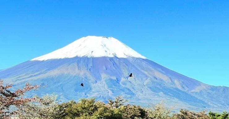 Mount Fuji Day Tour With English Speaking Guide - Good To Know
