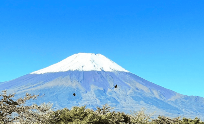 Mount Fuji Day Tour With English Speaking Guide - Transportation and Pickup Options