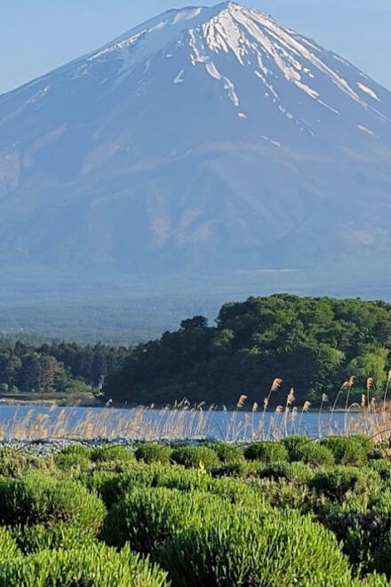 Mount Fuji Day Tour With English Speaking Guide - Itinerary Customization