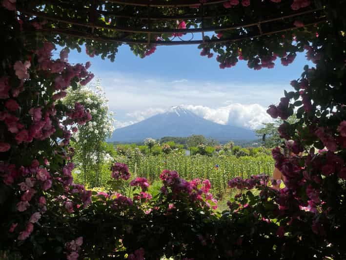 Mount Fuji Day Trip: Adventure Around Lake Kawaguchiko - Good To Know