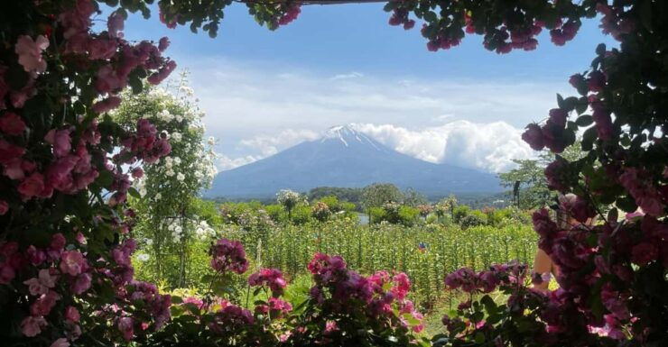 Mount Fuji Day Trip: Adventure Around Lake Kawaguchiko - Itinerary Details