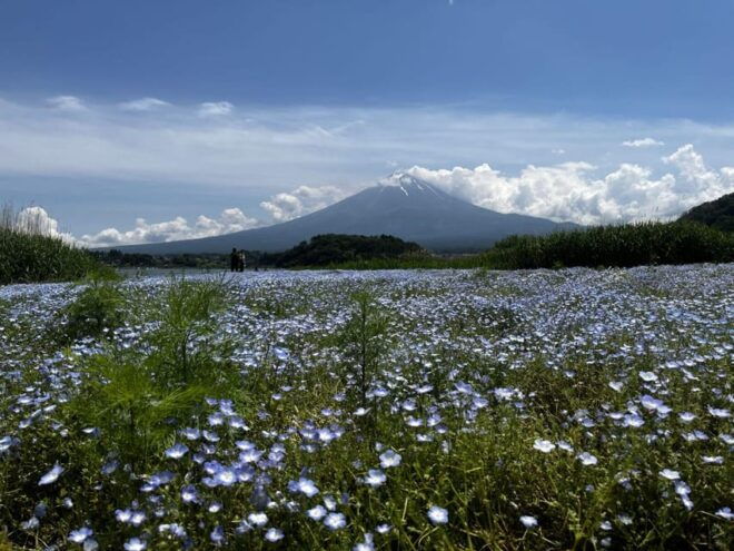Mount Fuji Day Trip: Adventure Around Lake Kawaguchiko - Activities and Attractions