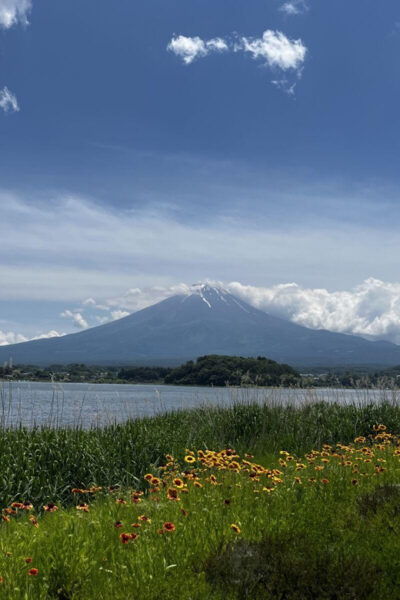 Mount Fuji Day Trip: Adventure Around Lake Kawaguchiko - Private Charter Options