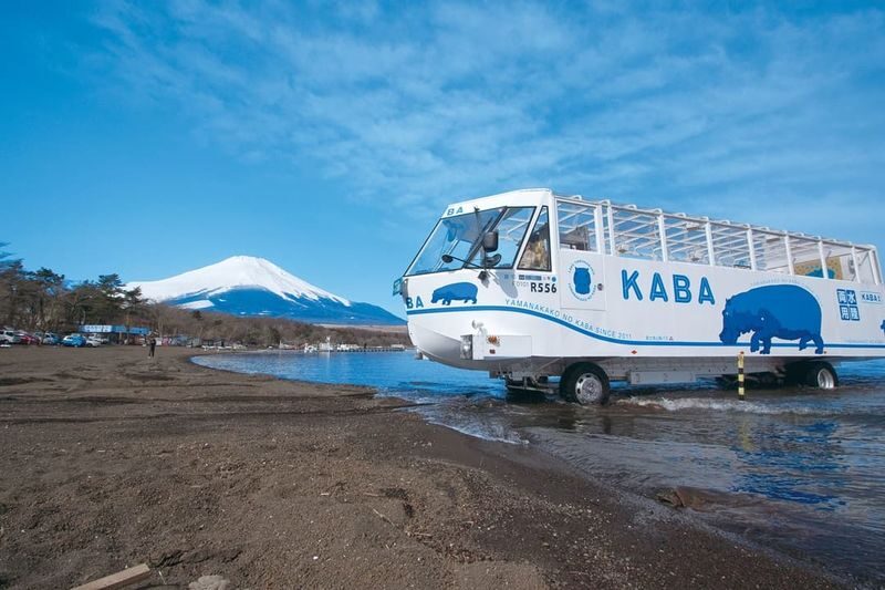 Mount Fuji Day Trip | Departure from Tokyo: Double Lake Scenery, Classic Attractions, Fireworks Limited Edition | Multiple Options Available, Small Group Exquisite Itinerary - What the Tokyo departure means in practice