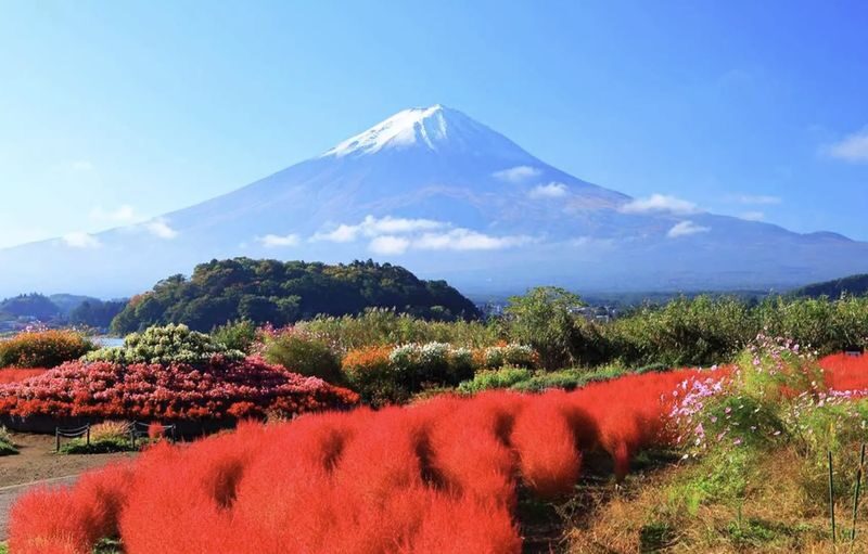 Mount Fuji Day Trip | Departure from Tokyo: Double Lake Scenery, Classic Attractions, Fireworks Limited Edition | Multiple Options Available, Small Group Exquisite Itinerary - Lawson, Oishi Park, and the clock-shop photo walk