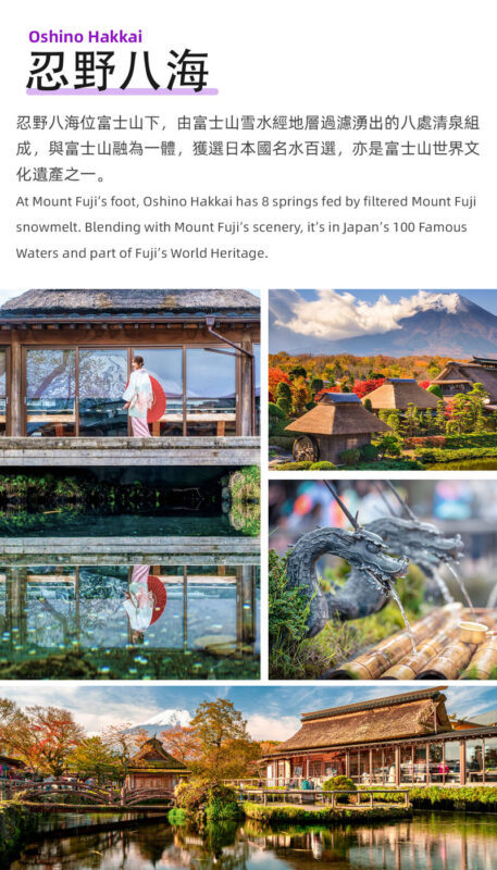 Mount Fuji day trip from Japan | Mount Fuji & Kawaguchi Lake & Gotemba Outlet & Internet-famous convenience store | Departing from Tokyo Ginza | Trilingual guide in Chinese/English/Korean - The Lawson stop: a quick, popular photo