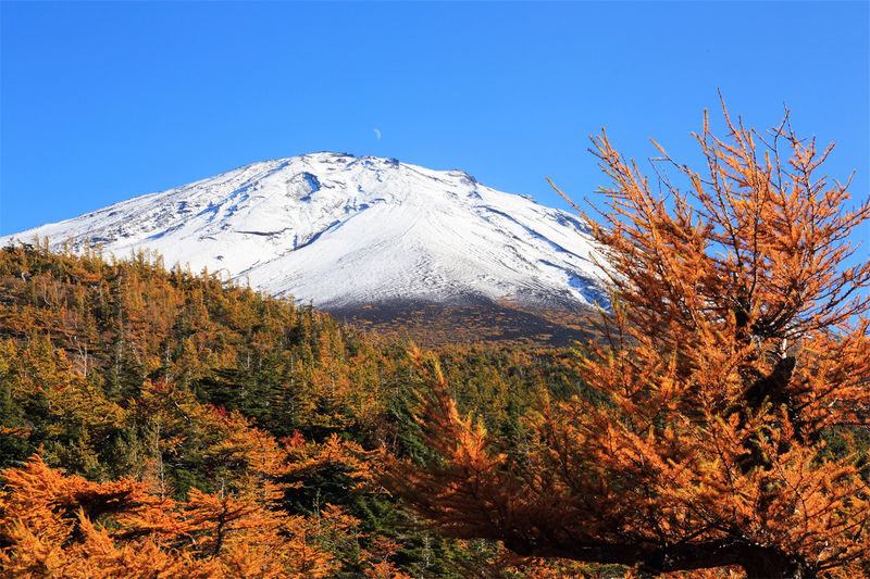 Mount Fuji Day Trip from Tokyo - What the guides add, and what they do not