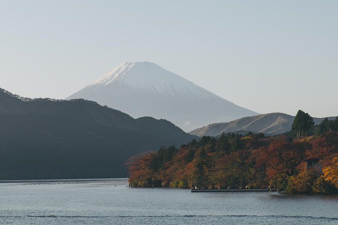 Mount Fuji Day Trip From Tokyo With a Local: Private & Personalized - Reasons to Choose This Tour