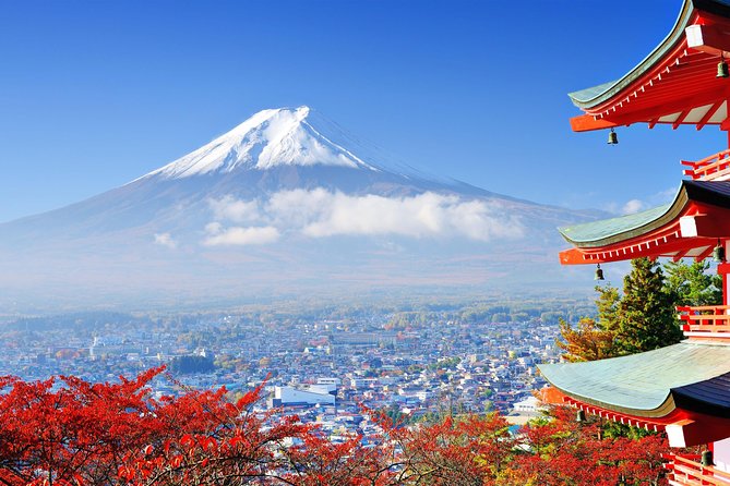 Mount Fuji Day Trip From Tokyo With a Local: Private & Personalized - The Sum Up