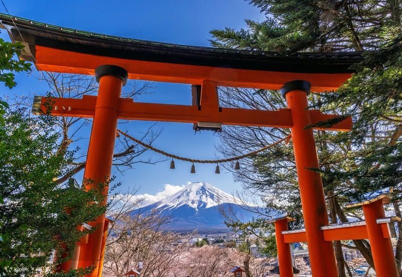 Mount Fuji Day Trip: Includes Kawaguchiko Tenjozan Park Ropeway Ticket & Arakurayama Sengen Park & Nichikawa Clock Shop & Lawson Convenience Store & Oishi Park (Departing from Tokyo) - The guide, group size and pace