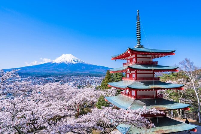 Mount Fuji Day Trip With Yamanakako Hot Springs From Tokyo - The Sum Up and Booking Details