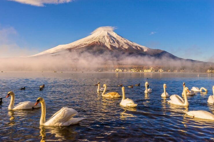 Mount Fuji: Exclusive Private Car Tour - Good To Know