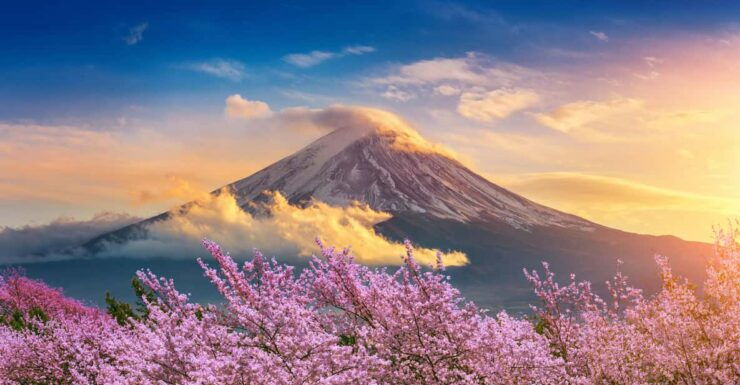 Mount Fuji: Exclusive Private Car Tour - Transportation and Pickup Details