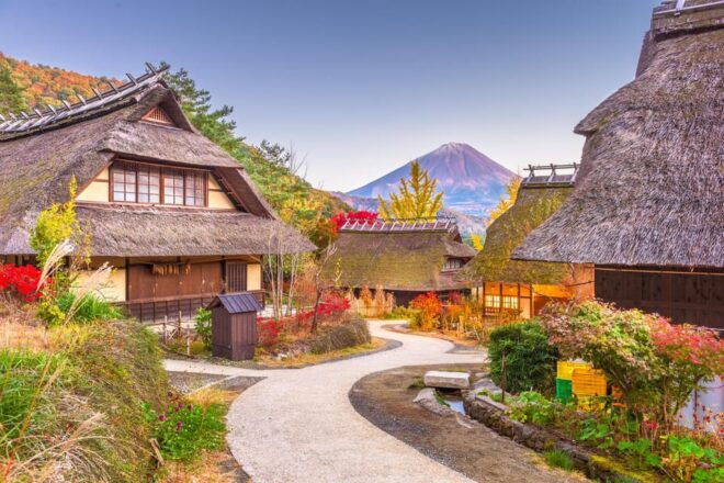 Mount Fuji: Exclusive Private Car Tour - Optional Activities