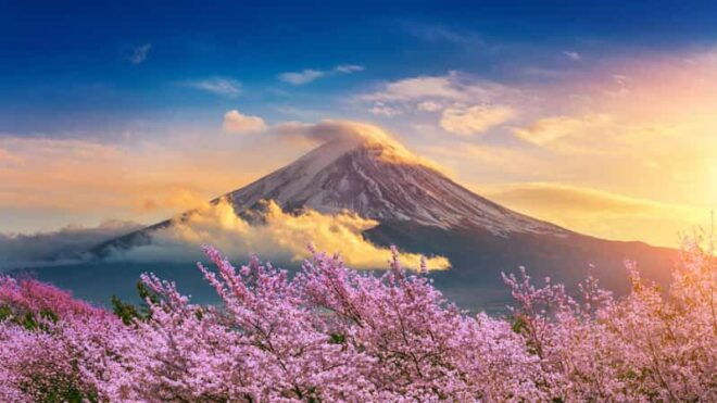 Mount Fuji: Exclusive Private Car Tour - Tour Highlights
