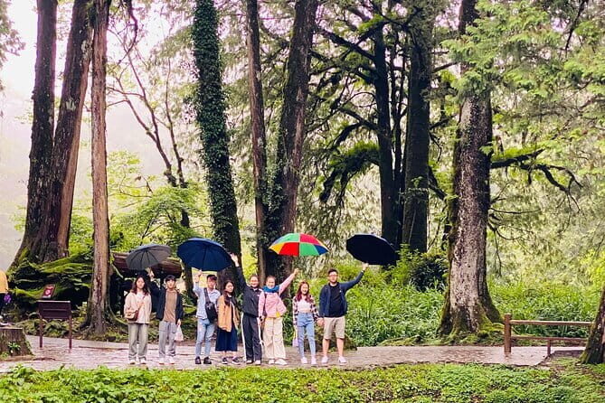 Mount Fuji Flower Viewing Limited Gotemba Outlet Tour - Good To Know