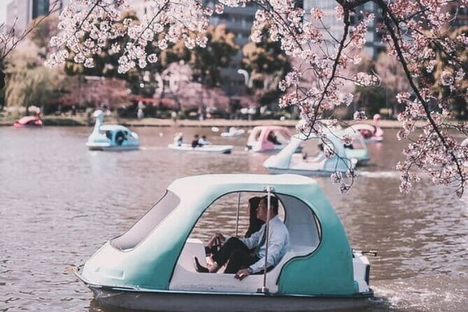 Mount Fuji Flower Viewing Limited Gotemba Outlet Tour - Who Should Consider This Tour?