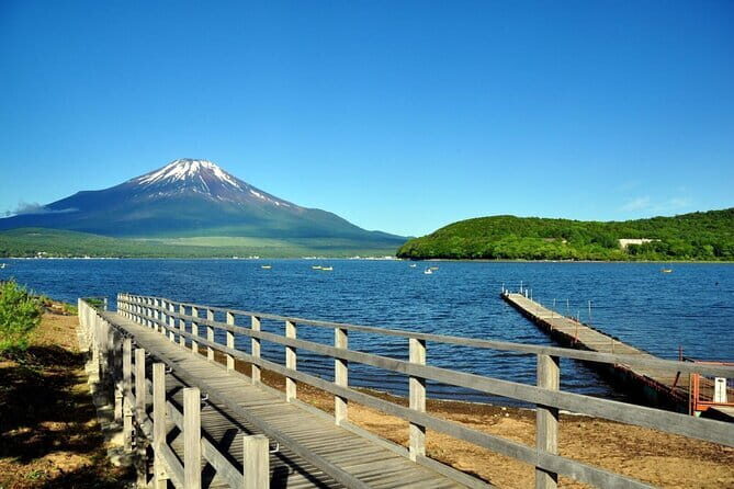 Mount Fuji Flower Viewing Limited Gotemba Outlet Tour - First Stop: Oishi Park