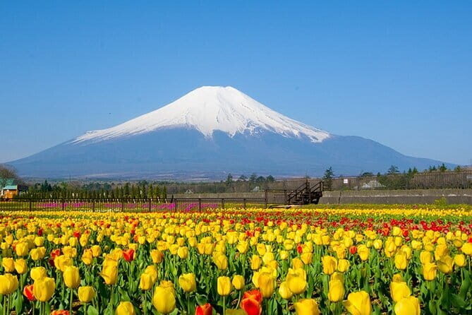 Mount Fuji Flower Viewing Limited Gotemba Outlet Tour - Final Stop: Konohana Onsen