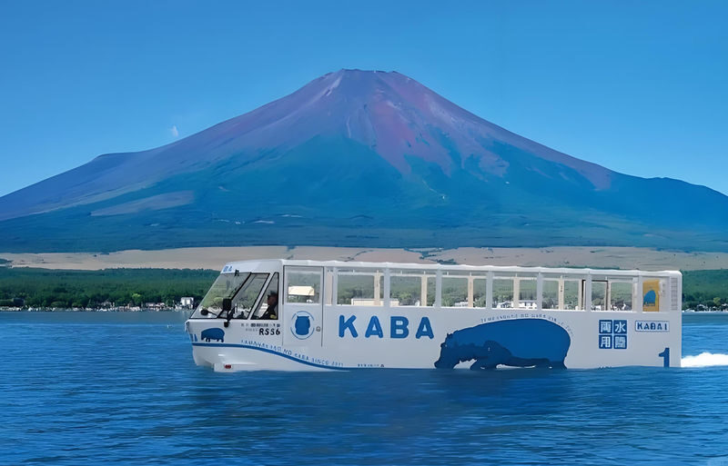 Mount Fuji from Land and Water | Yamanakako KABA Amphibious Bus / Swan Boat Cruise Optional + Hirano Beach + Oshino Hakkai + Lake Kawaguchi Oishi Park | Family Preferred & Departure from Tokyo - At a glance