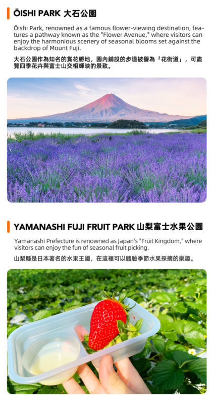 Mount Fuji Fruit Picking & Popular Sightseeing Train Day Trip | Mount Fuji 5th Station/Arakurayama Sengen Park, Sightseeing Train, Oishi Park, Yamanashi Fuji Fruit Park Day Trip (Round Trip from Tokyo) - Oishi Park: flowers, a lake, and Fuji in the distance